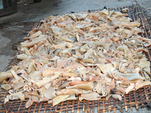 Bì[-]lợn[-]thối[-]thành[-]đặc[-]sản[-]2